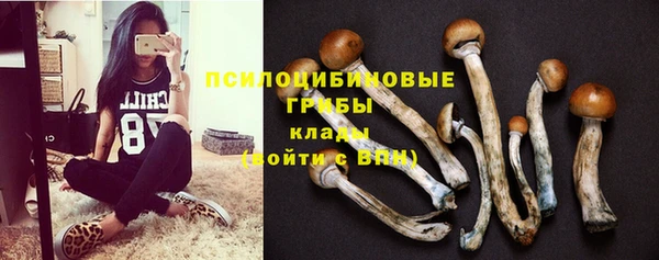 не бодяженный Арсеньев